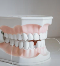 A model denture placed on a plain surface